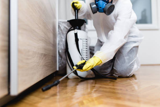 Best Pest Control Treatment  in Hawarden, IA