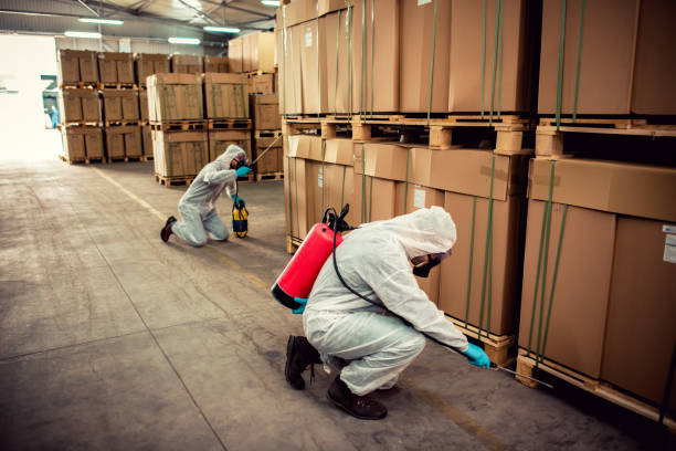 Best Best Pest Control Companies  in Hawarden, IA