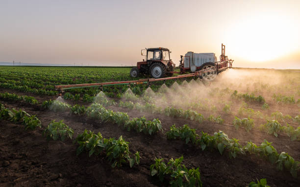 Insect Control in Hawarden, IA