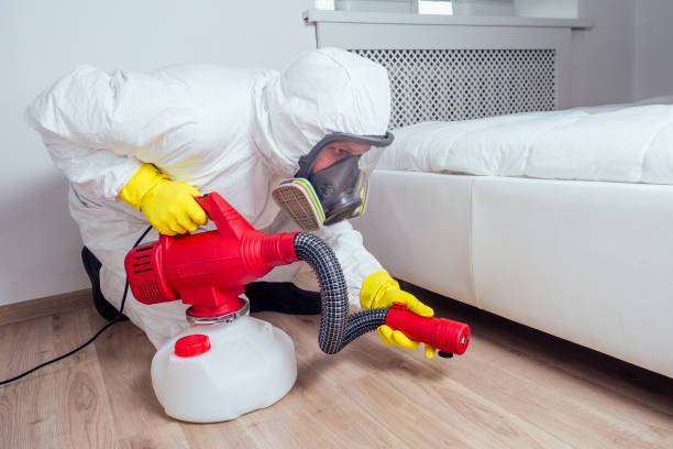 Best Mosquito Control Services  in Hawarden, IA