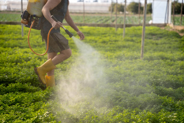 Best Pest Control Near Me  in Hawarden, IA