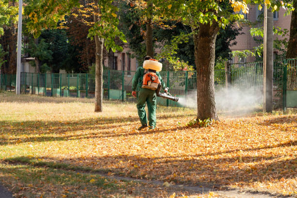 Best Cockroach Control Services  in Hawarden, IA