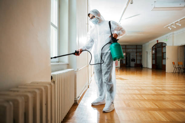 Best Exterminator Services  in Hawarden, IA
