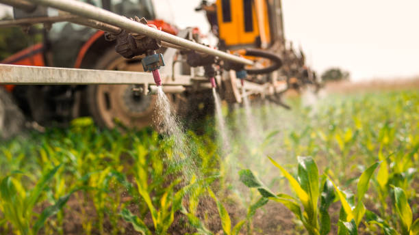 Pest Control for Restaurants in Hawarden, IA